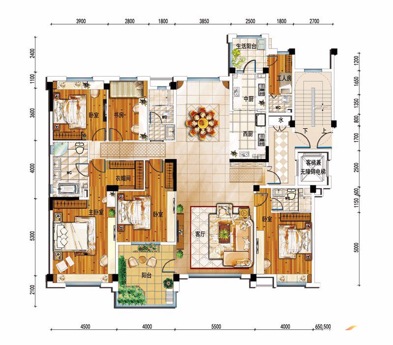 常德碧桂园YJ245T户型