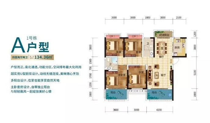 A户型