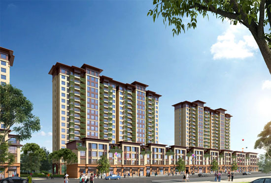 1717745164156611.jpg 2.jpg