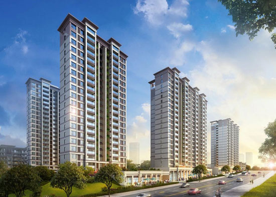 1717752192765703.jpg 2.jpg