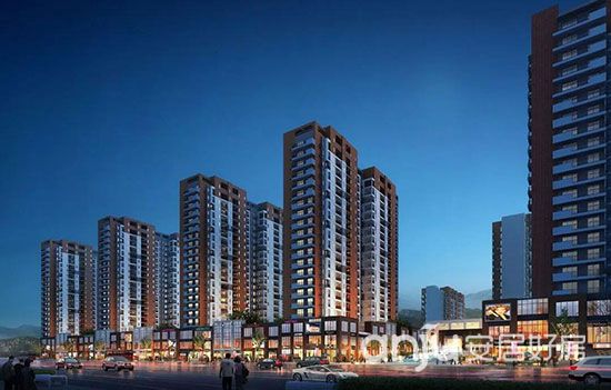 1718160443801500.jpg 1.jpg