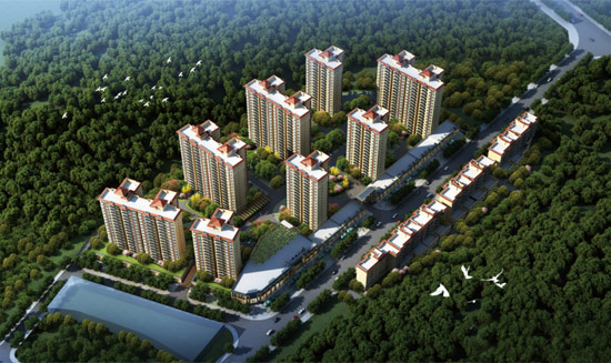 1719991653294573.jpg 1.jpg