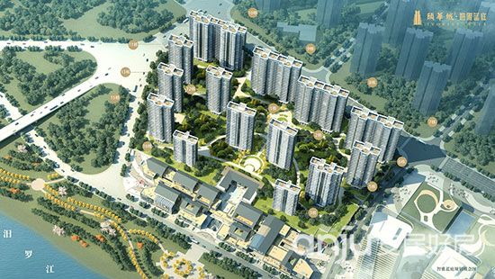 1719991928344030.jpg 1.jpg