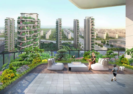 1719998270935825.jpg 1.jpg