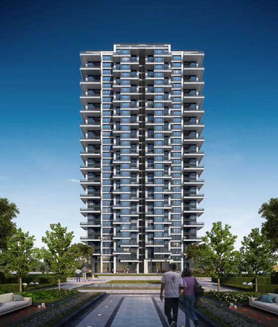 1721059279435983.jpg 5.jpg