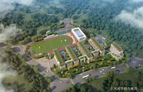 1737465801789647.jpg 9.jpg