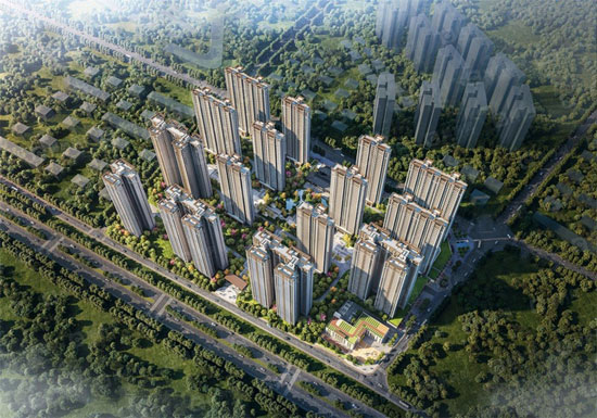 1739439849483304.jpg 8.jpg